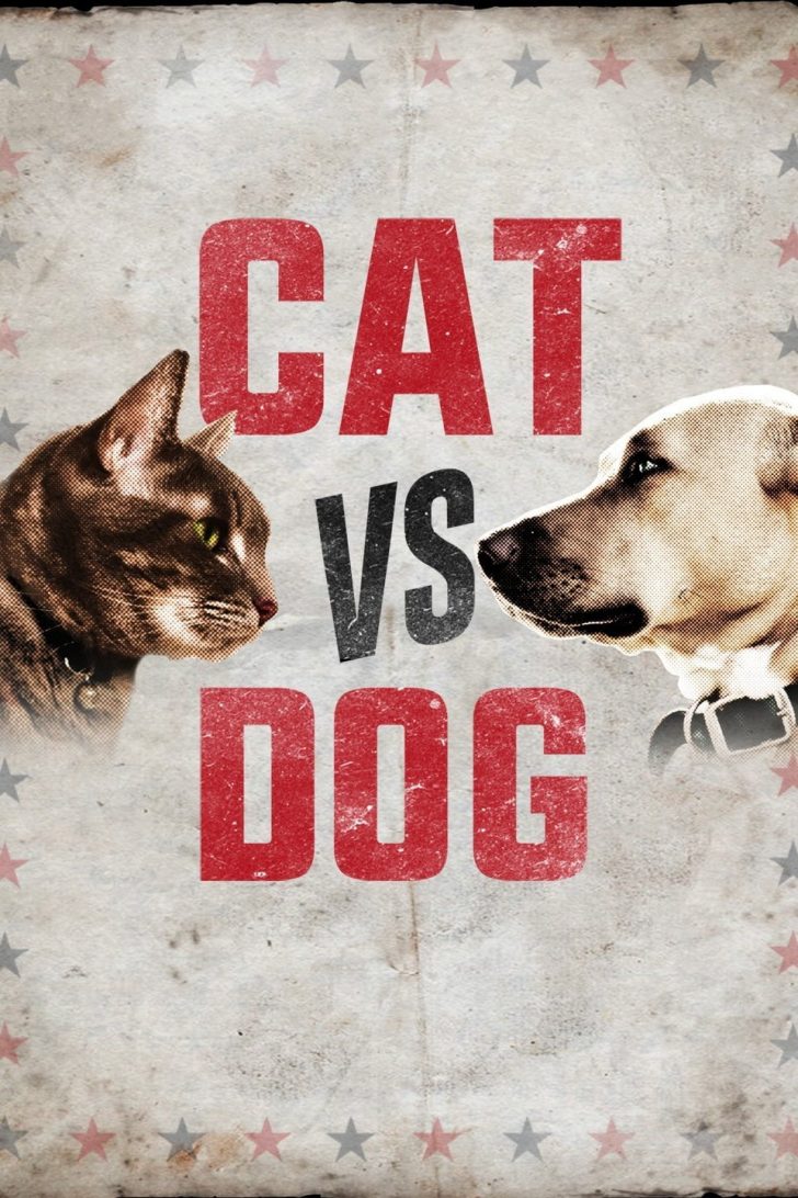 Cat vs. Dog-tvSeriesLike