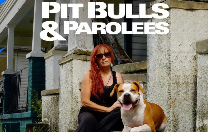shows like pitbulls and parolees similar series to watch