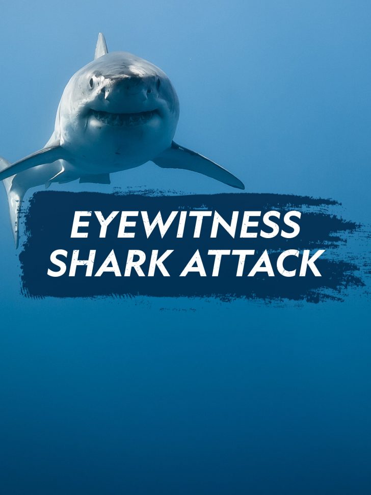 eyewitness-sharck-attack-series-date