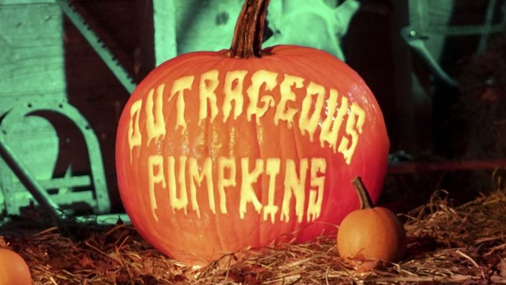 outrageous-pumpkins-food-network-season-1-release-date.jpg