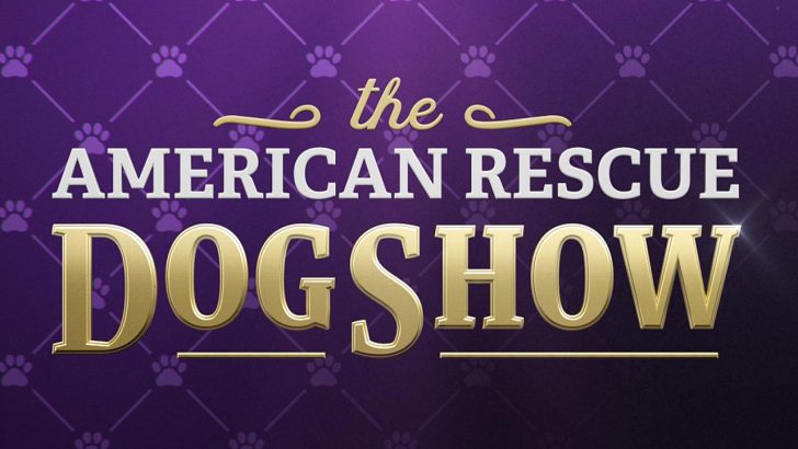 the american rescue dog show abc season 1 release date.jpeg