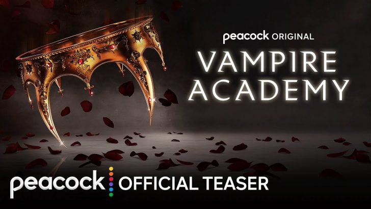 shows like vampire academy series watch next after.jpg