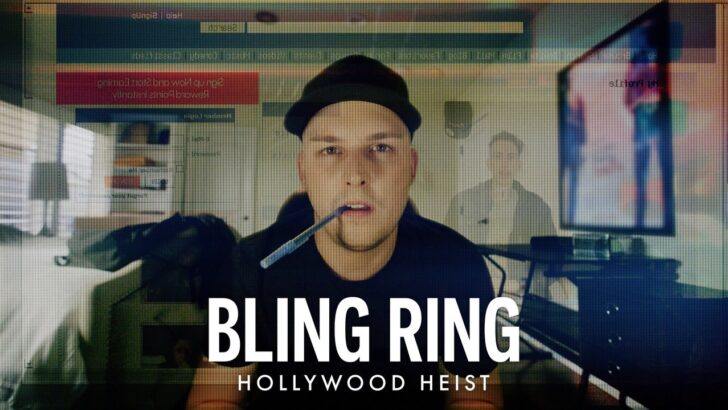 shows like the real bling ring hollywood heist series watch next after.jpg