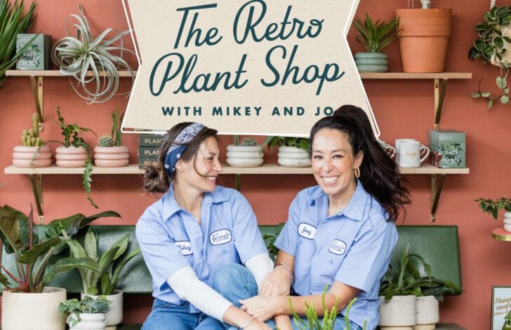 shows like the retro plantshop with mikey and jo series watch next after.jpg