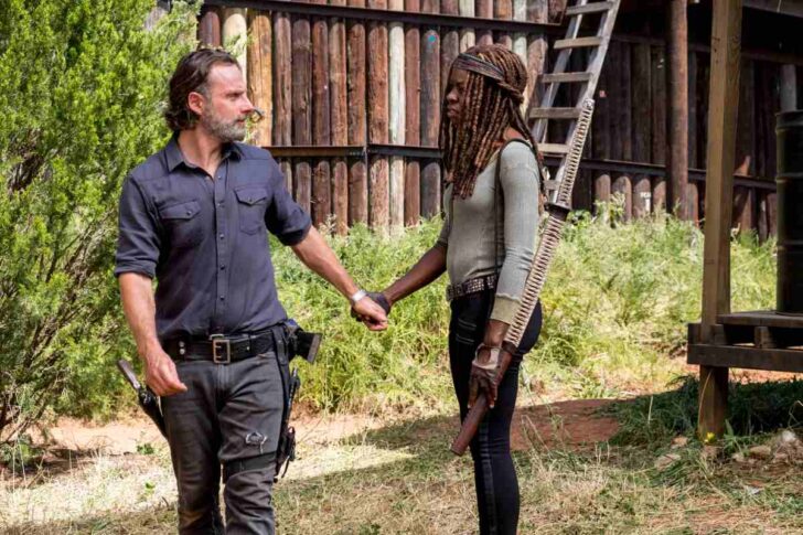 shows like walking dead rick and michonne series watch next after.jpg
