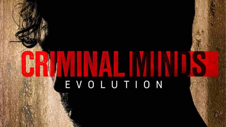 shows like criminal minds evolution series watch next after.jpeg