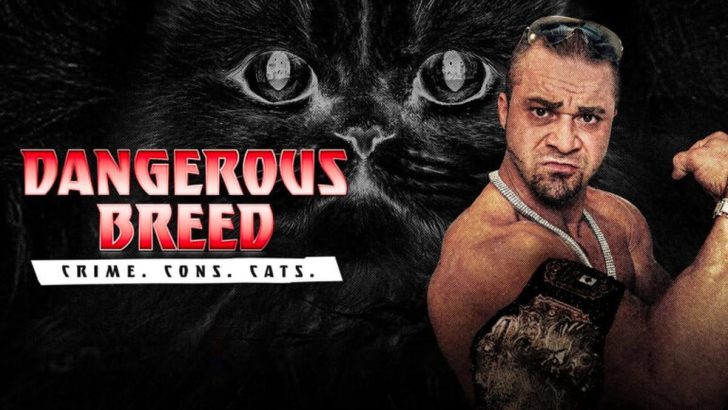 shows like dangerous breed crime cons cats series watch next after.jpg