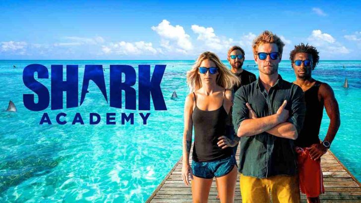 shows like shark academy series watch next after.jpeg